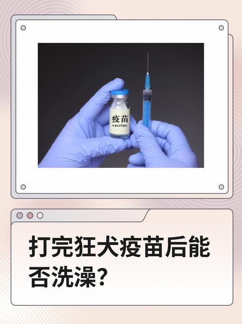 狗打疫苗前可以洗澡吗