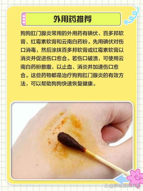 狗狗肛门红肿擦什么药比较好