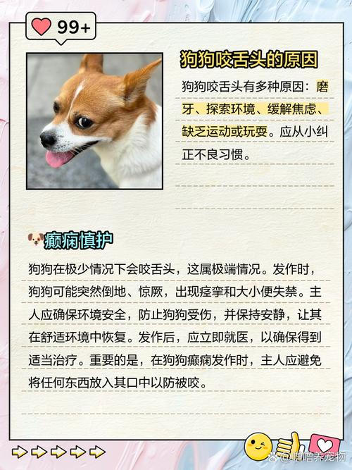 狗舌头破了流血,该怎么治疗?