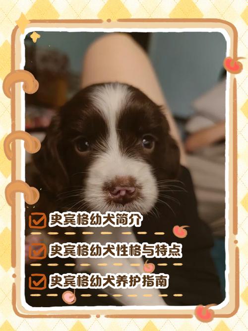 狗狗生宝宝多久生一个