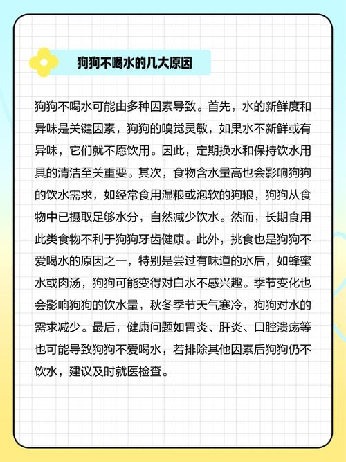 狗狗不喝水是生病了吗