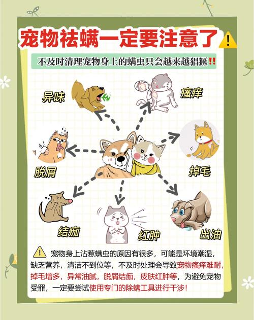 狗身上螨虫怎么去除简单方法