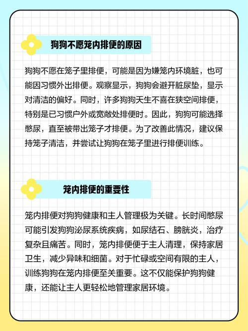 狗狗不进笼子怎么办