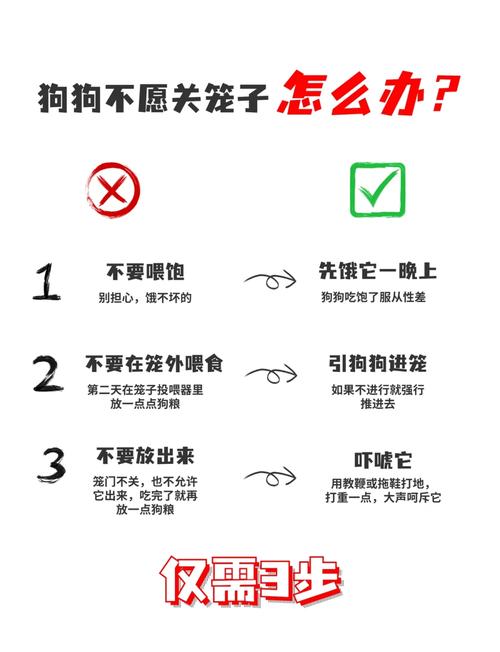 狗狗不愿意进笼子