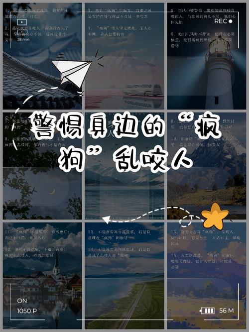 ...会翻来翻去,会乱咬东西,有时还会咬我怎么回事?急急急?