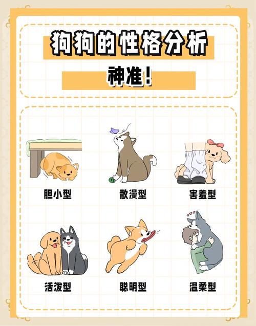 狗狗为什么早晨特别活泼