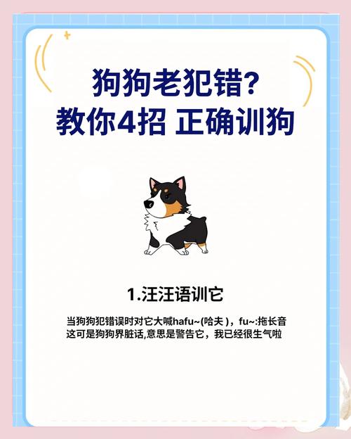 柯基不听话要打哪里怎么训