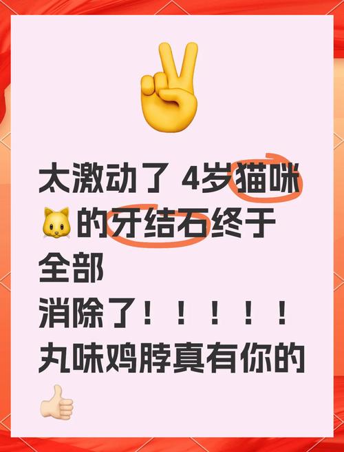 猫咪牙结石清理办法