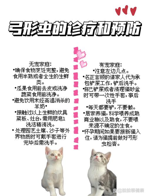 狗狗感染弓形虫怎么治疗?