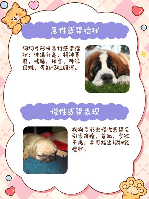 狗狗弓形虫怎么治