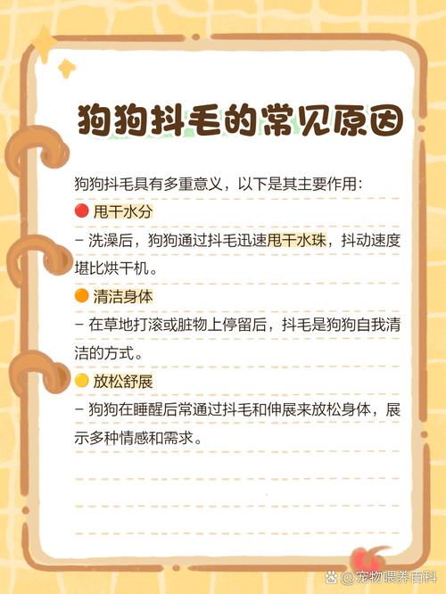 狗狗抖毛的原因是什么