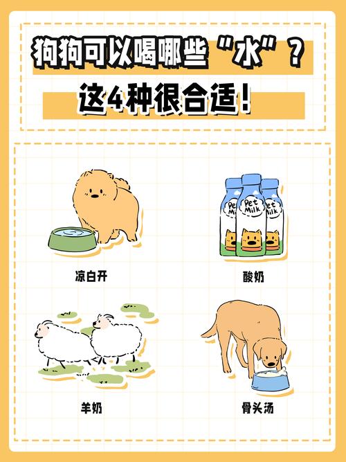 狗狗为什么不吃果汁