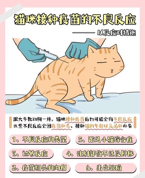 猫咪疫苗不用每年打,知道这些就够了