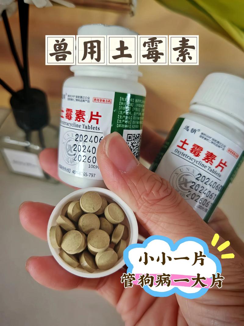 狗狗能吃土霉素吗?