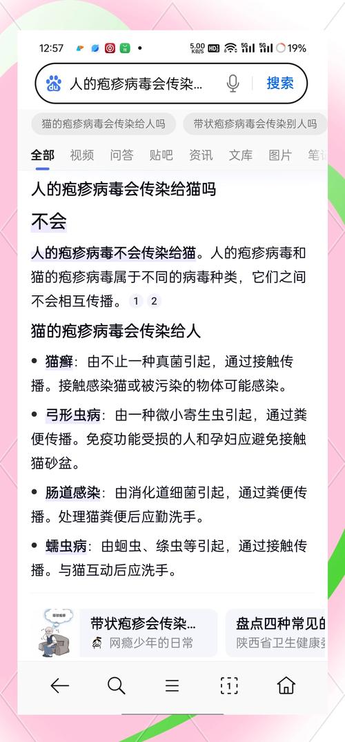 猫咪疱疹病毒传染人吗