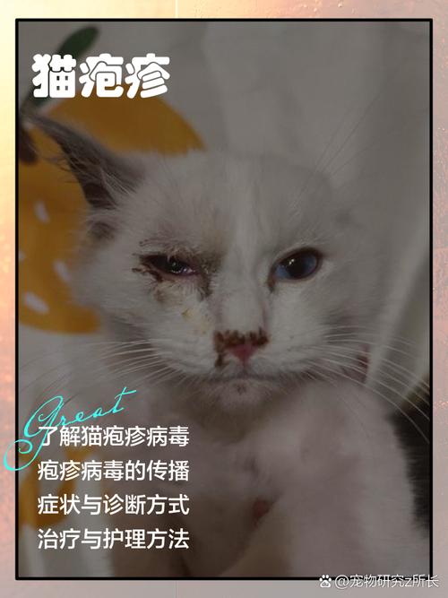 猫咪得疱疹病毒怎么办?