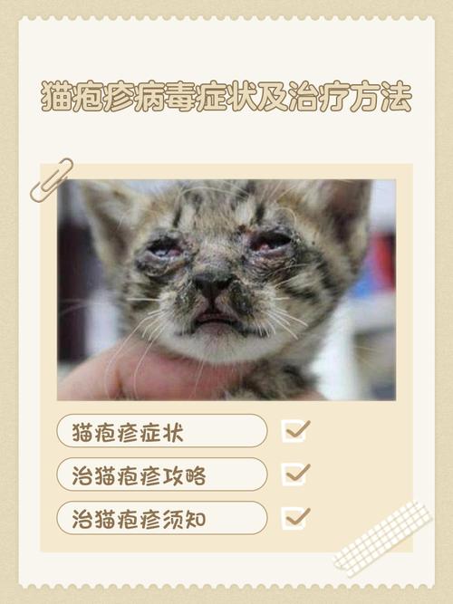 猫疱疹病毒会传染人吗