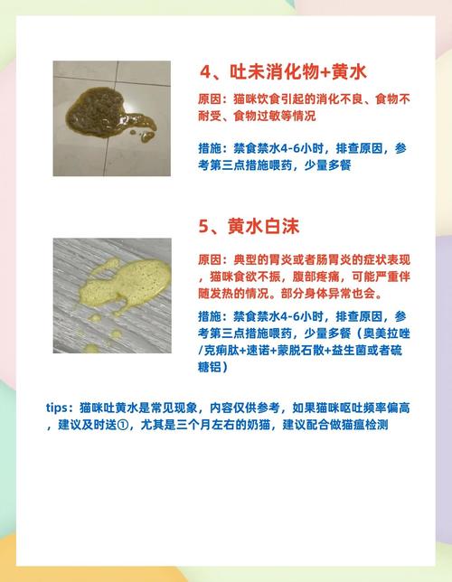 猫吃了驱虫药吐黄水死了,原因是什么