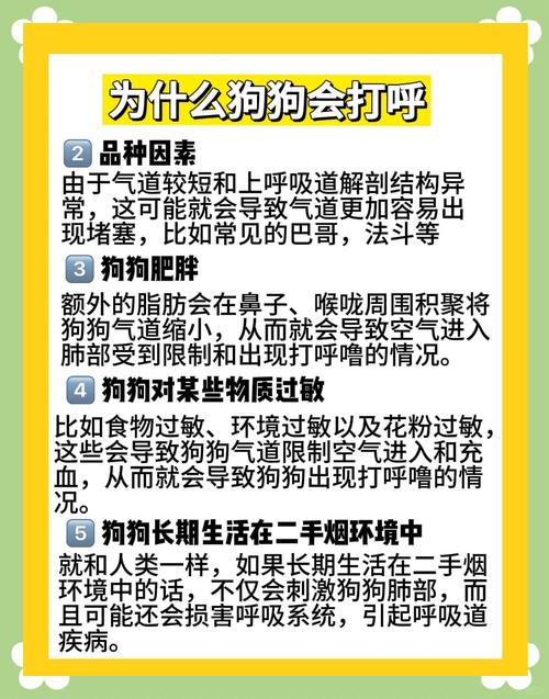 狗狗睡觉时为什么不打呼噜