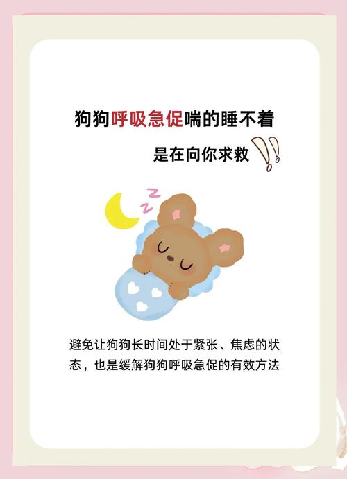 为什么狗狗会打呼噜?是正常的吗?