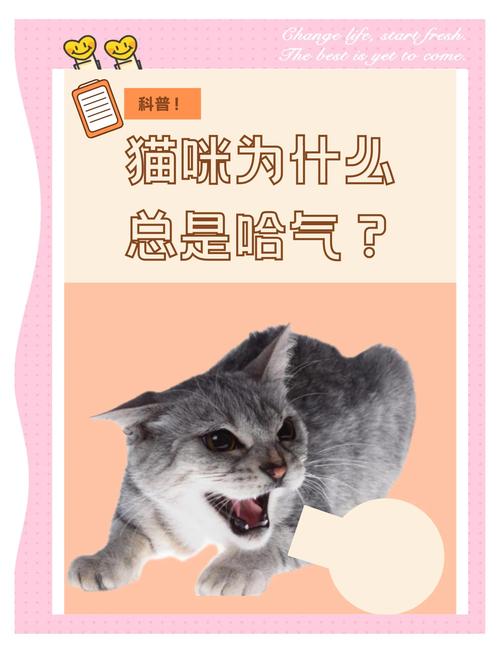 养了很多年的猫突然对你哈气特重?