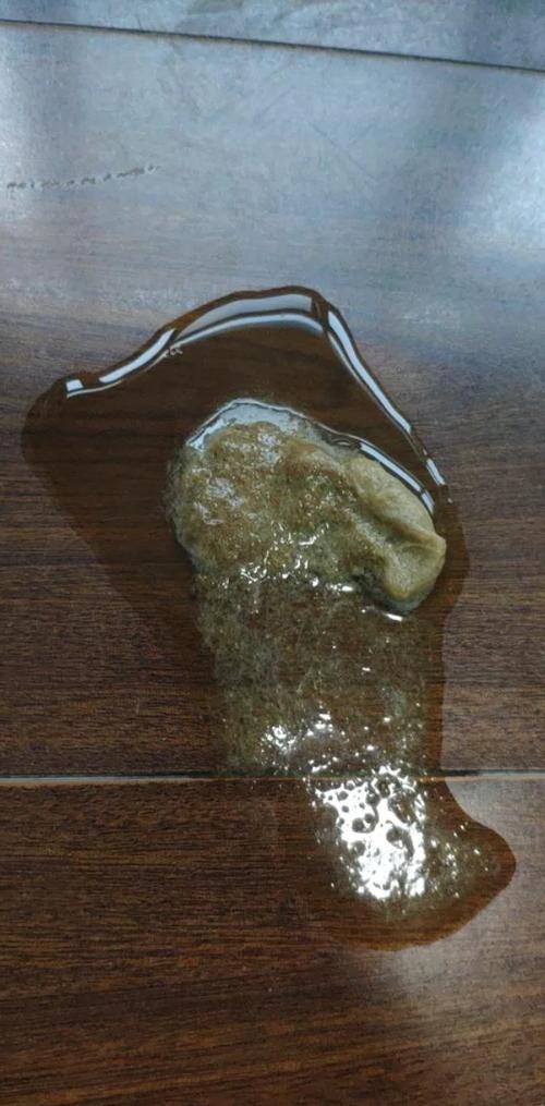 猫多大开始吐毛