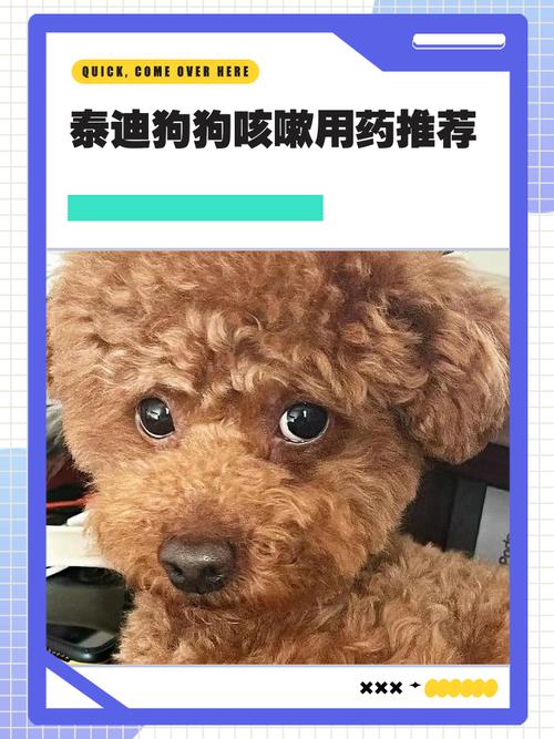 狗狗感冒咳嗽吃什么药好的快?