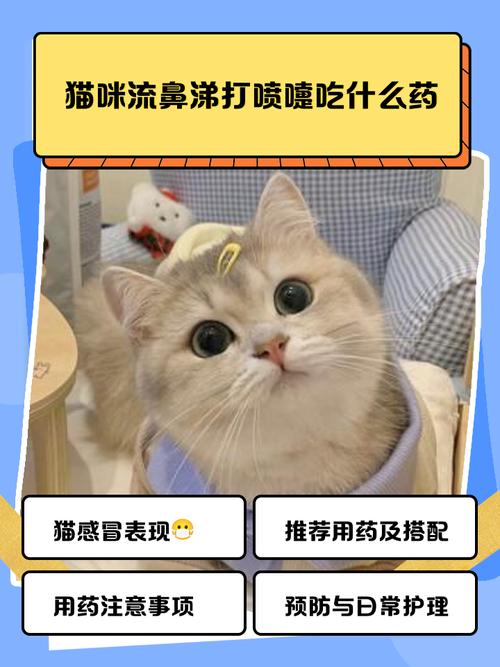 猫一直打喷嚏吃什么药