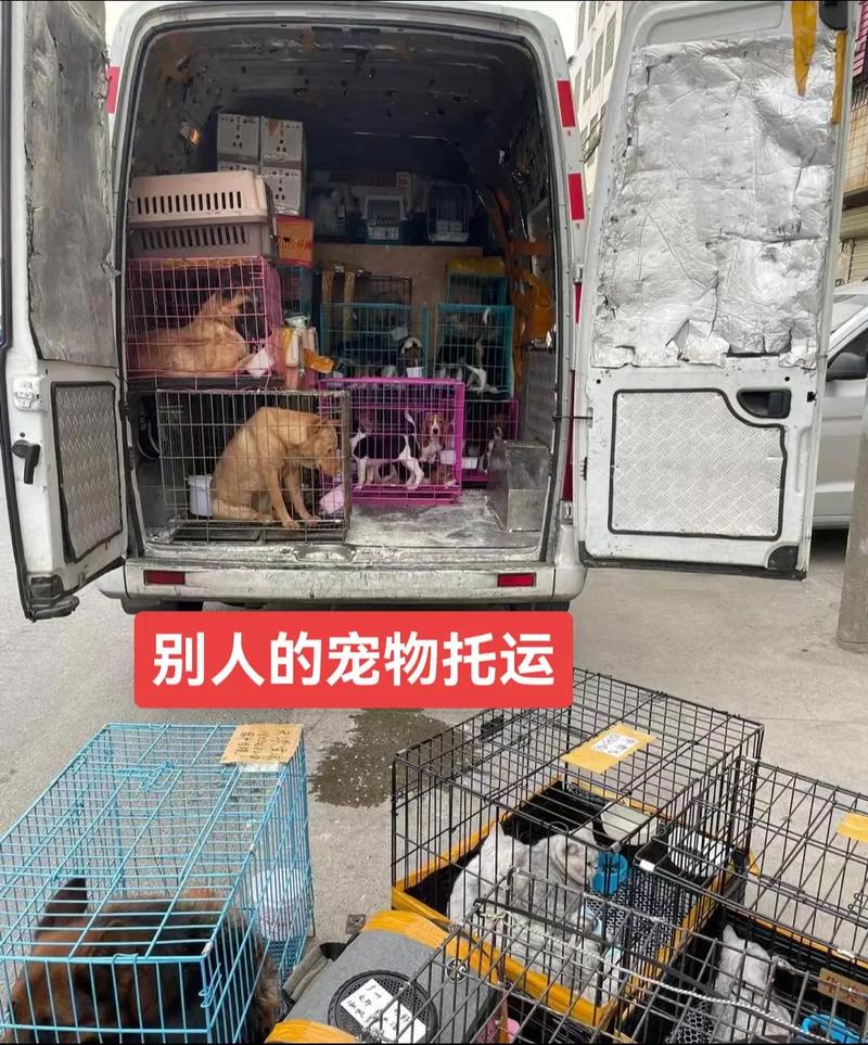 狗怎么跨省邮寄