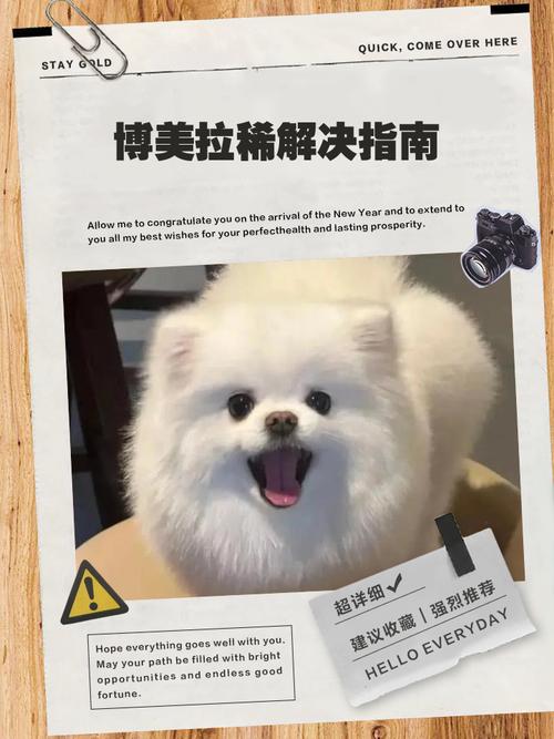 博美狗拉稀和吐白沫怎么办?