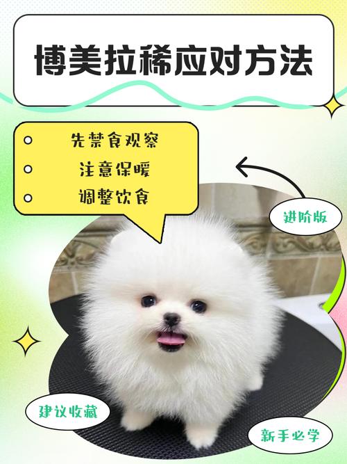 狗狗拉稀吐白沫