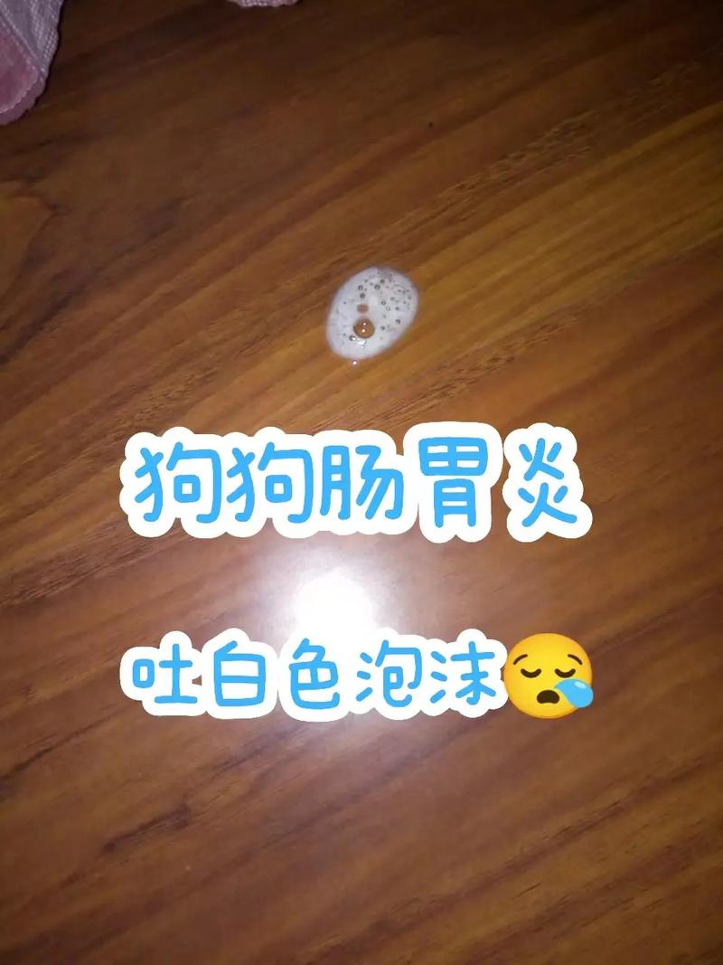 狗狗拉稀吐白沫怎么办
