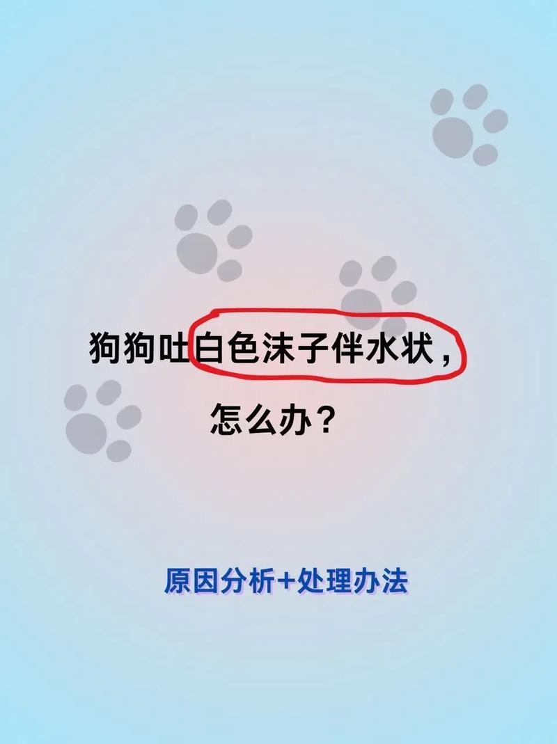 狗狗吐白沫黏液拉稀怎么办吃什么药