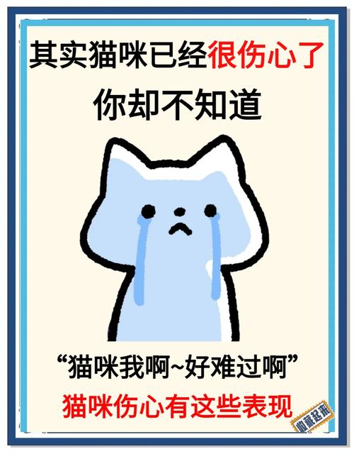 你的猫咪心情不好时会有哪些行为表现呢?