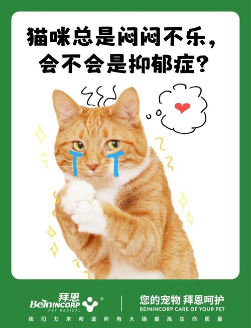 猫咪心情不好时会有哪些行为表现呢?