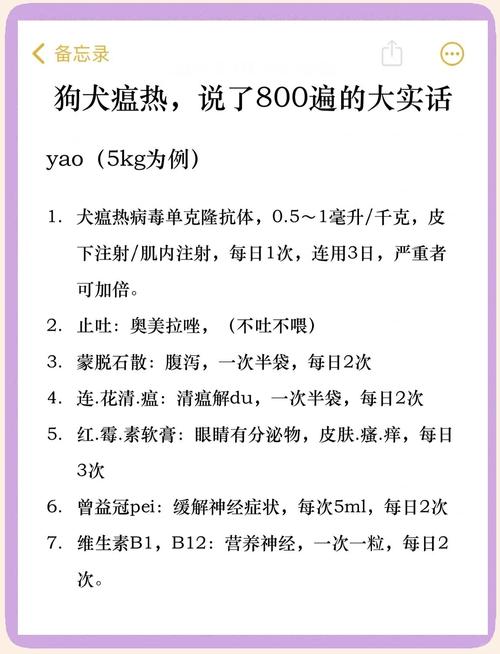 狗狗得了犬瘟自救方法