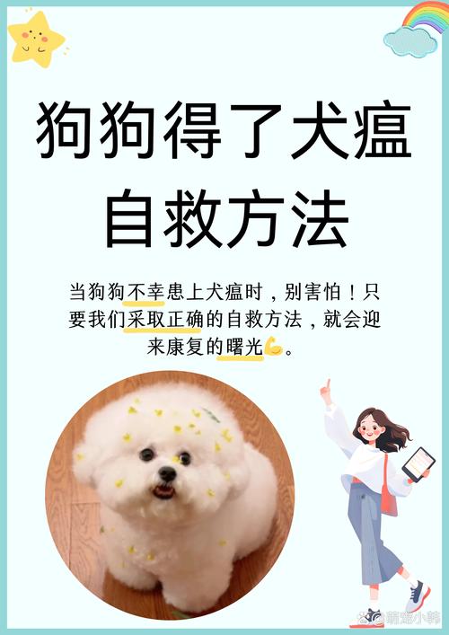 狗得了犬瘟在家怎么治