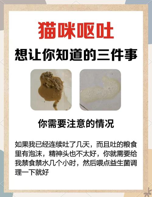 猫咪吐不出毛球怎么办