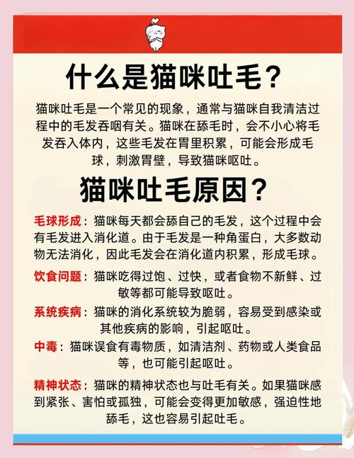 猫咪吐毛球吐不出来怎么办?