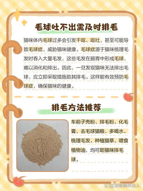 猫吐毛球吐不出来怎么办