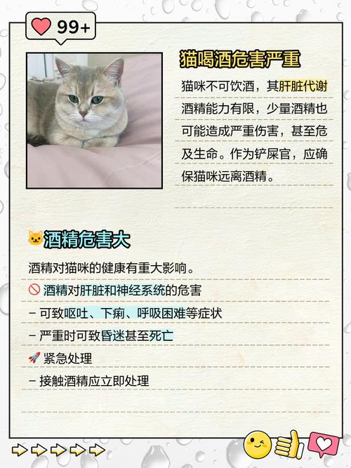 猫能喝酒吗一点点会死吗