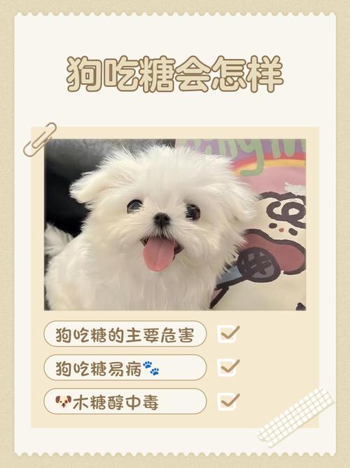 狗狗吃多了甜的会怎样呢