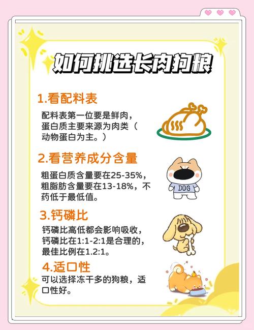 如何把狗狗养胖?