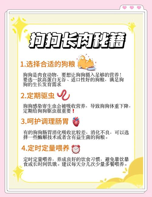 小狗怎样快速养胖