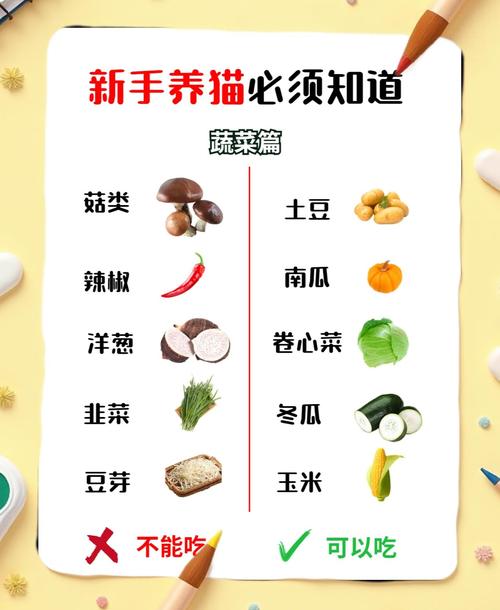 猫咪最爱吃什么蔬菜?