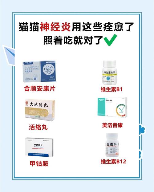 猫腰椎神经受损吃什么药