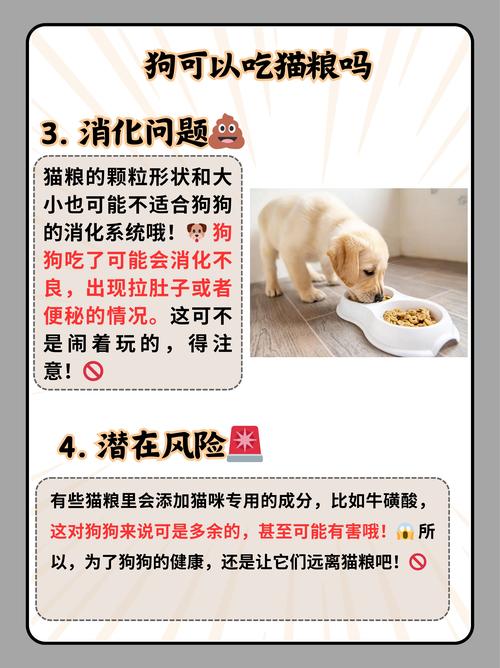 小狗狗可以吃猫粮吗