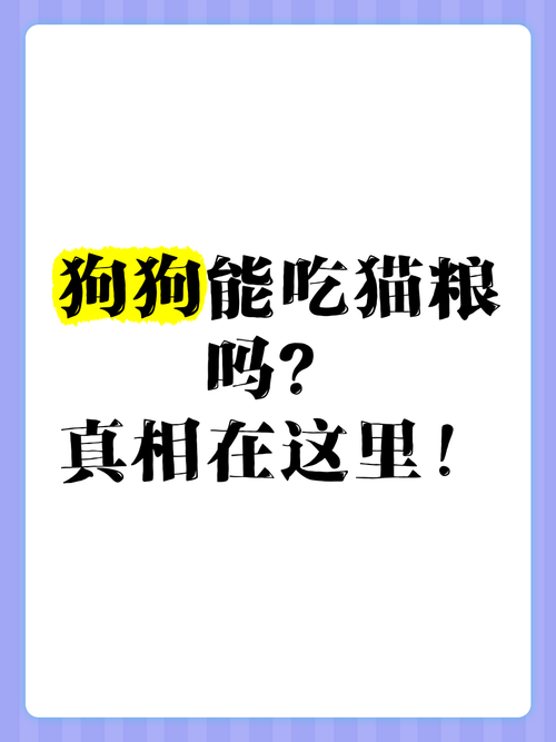 猫粮可以喂狗狗吗?