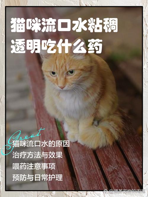 猫咪经常流口水吃什么药?