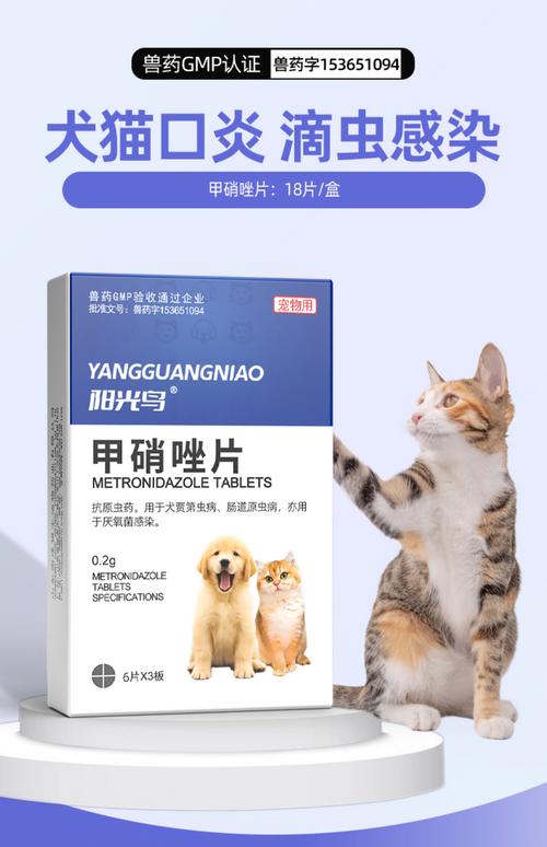 猫咪流口水怎么办